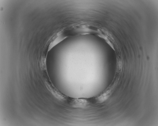 X0000081580429200701291245