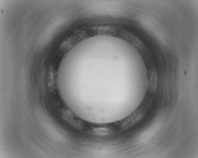 X0000081580430200701291245