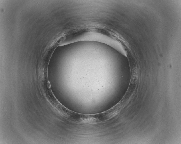 X0000081580452200701291244