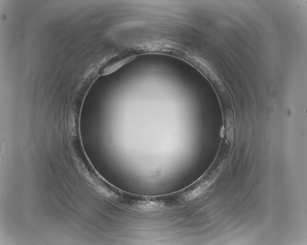 X0000081580453200701291244