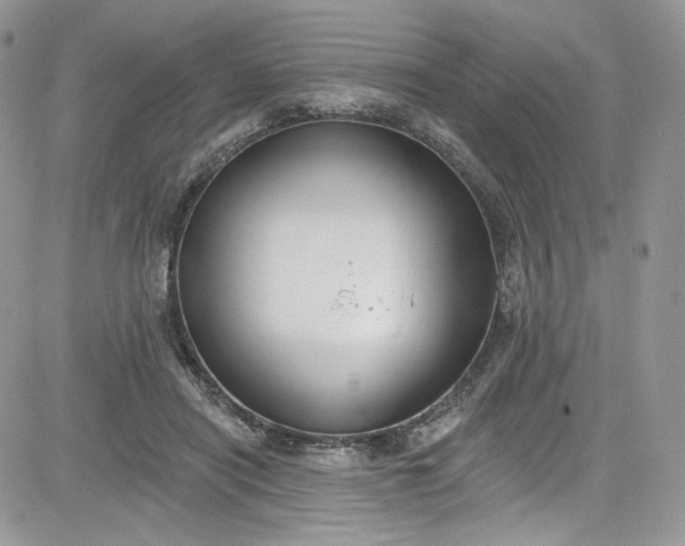 X0000081580454200701291244