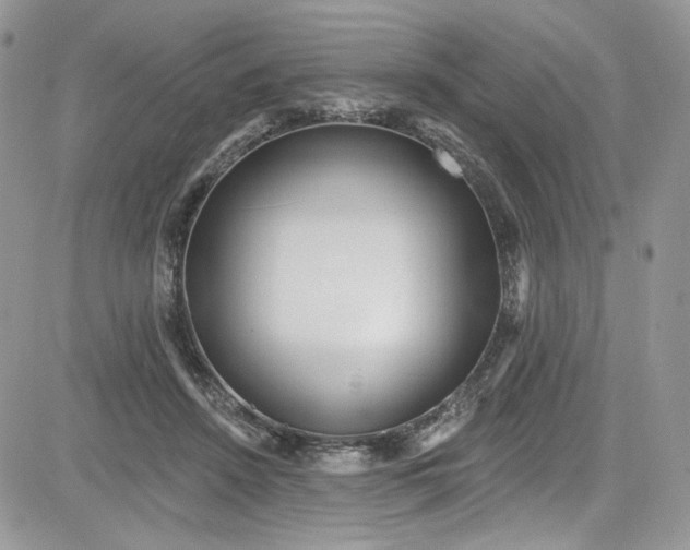 X0000081580456200701291244