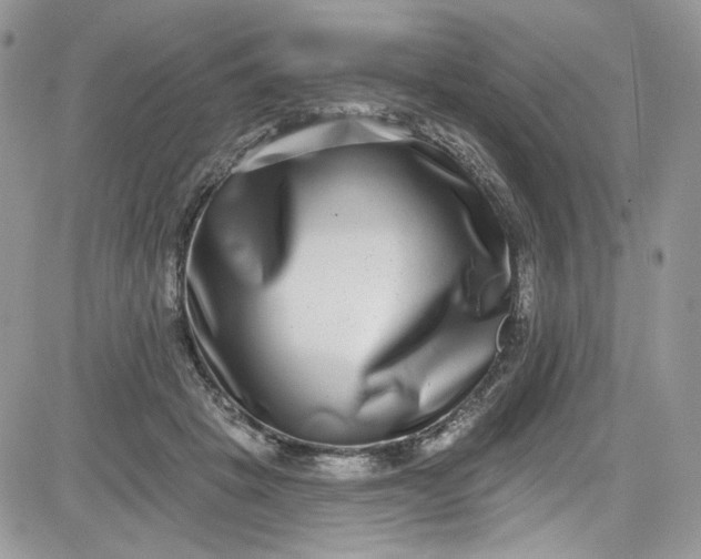 X0000081580457200701291244