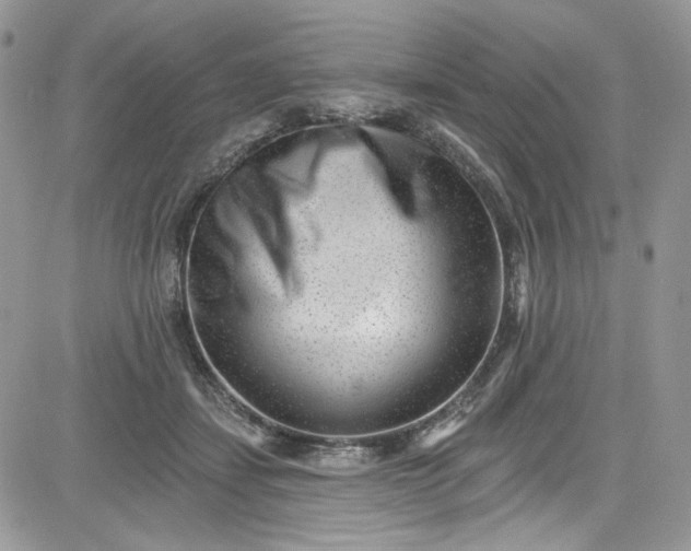 X0000081580459200701291244