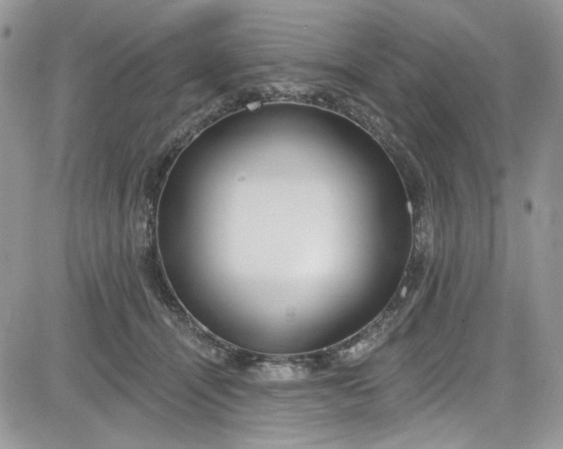 X0000081580464200701291244