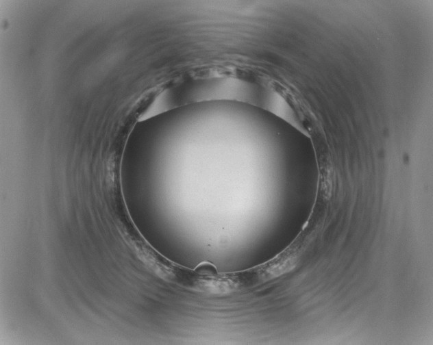 X0000081580466200701291244