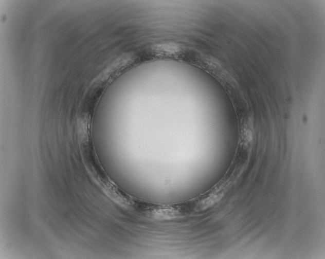 X0000081580468200701291244