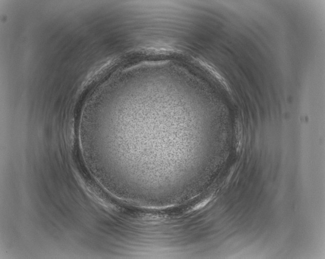 X0000081580494200701291244