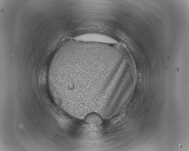 X0000081580499200701291243
