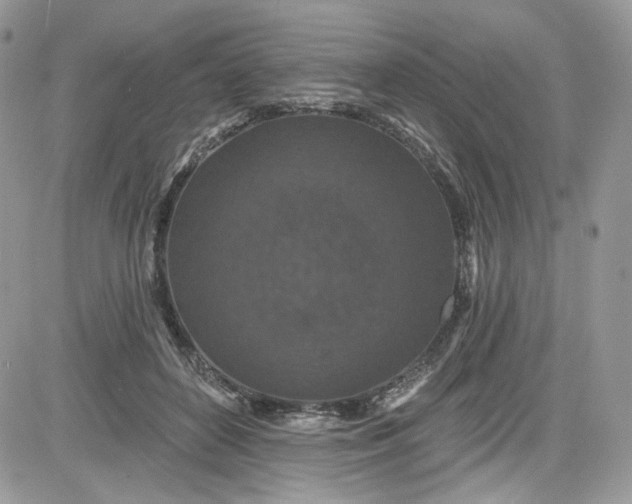 X0000081580504200701291243
