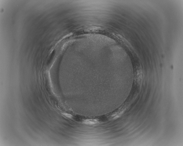 X0000081580508200701291243