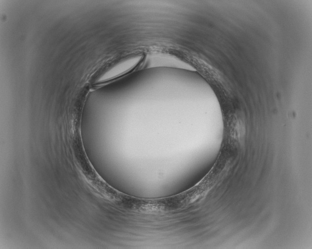 X0000081580546200701291243