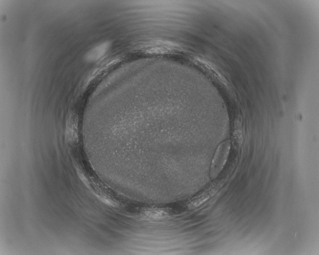 X0000081580547200701291243