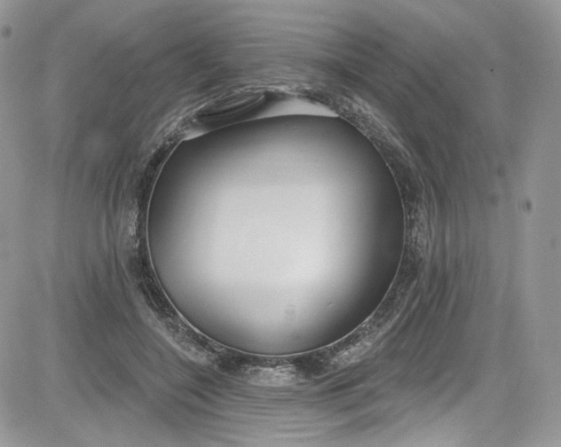 X0000081580548200701291243