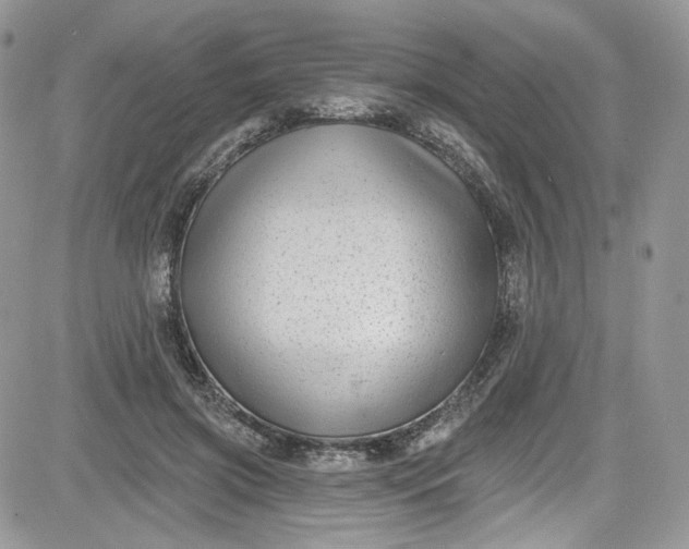 X0000081580549200701291243