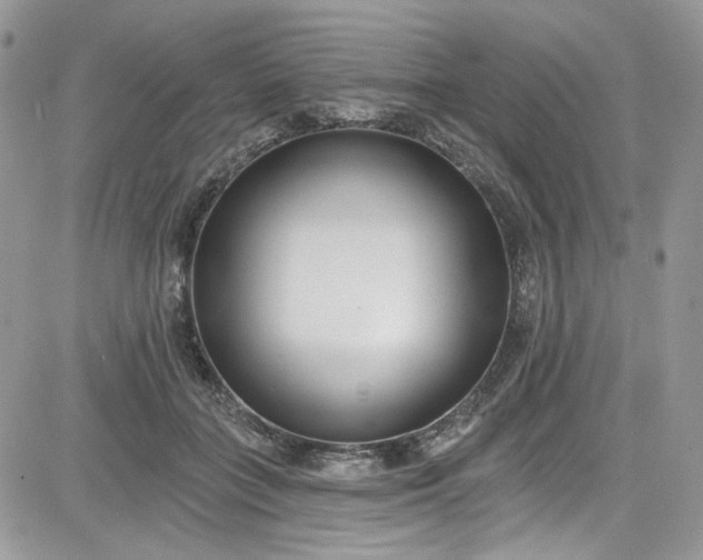 X0000081580555200701291243