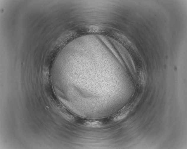 X0000081580557200701291243