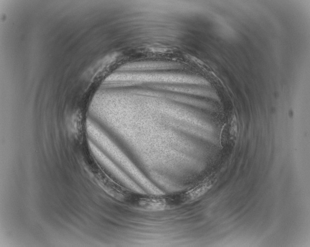 X0000081580559200701291243