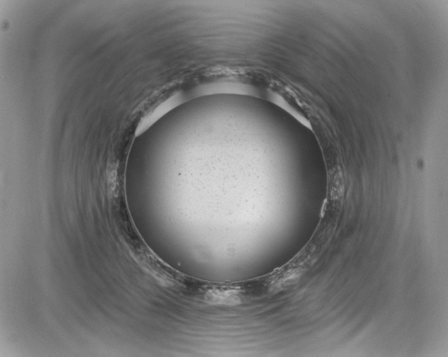 X0000081580560200701291243