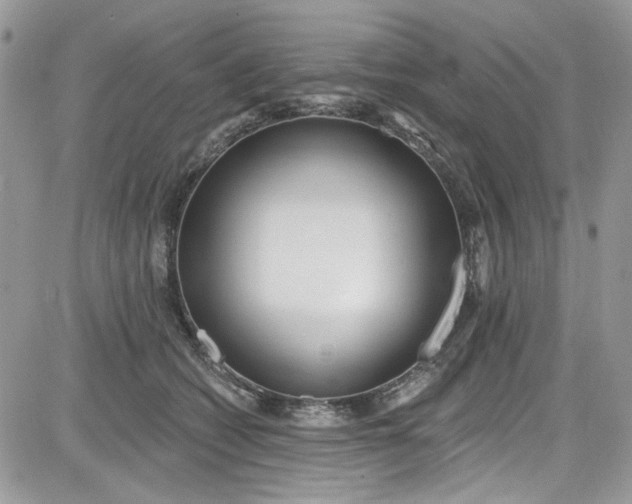 X0000081580562200701291243