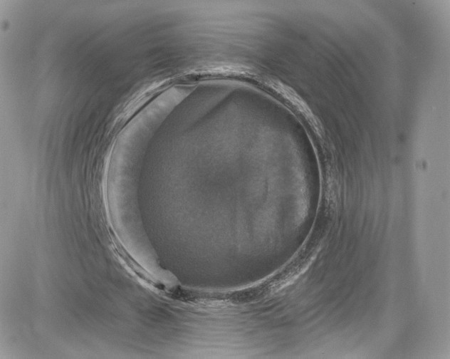 X0000081580577200701291242
