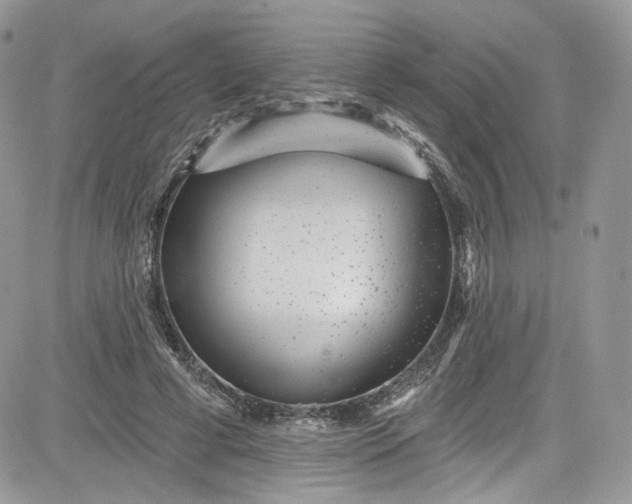 X0000081580593200701291242
