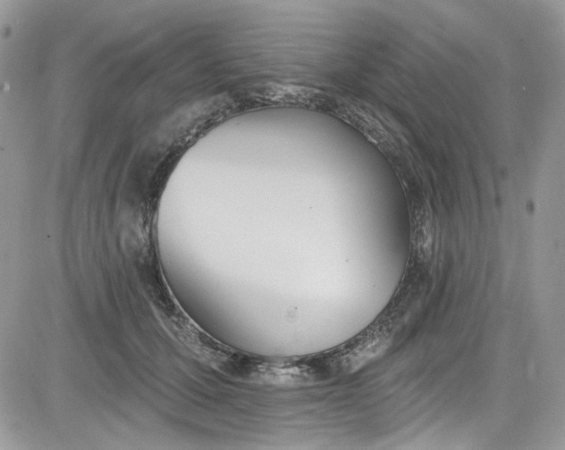 X0000081580607200701291242