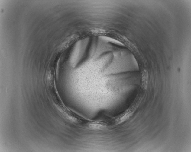 X0000081580614200701291242
