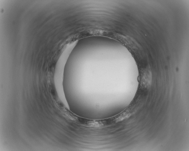 X0000081580616200701291242