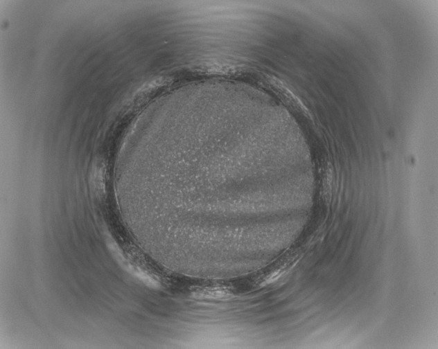 X0000081580643200701291241