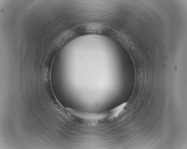 X0000081580649200701291241