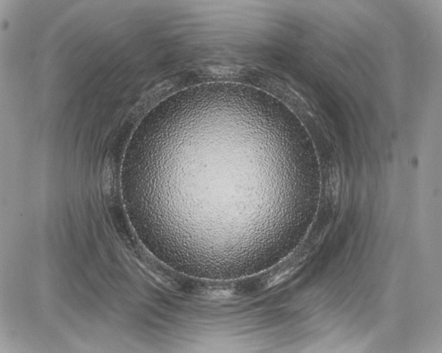 X0000081580651200701291241