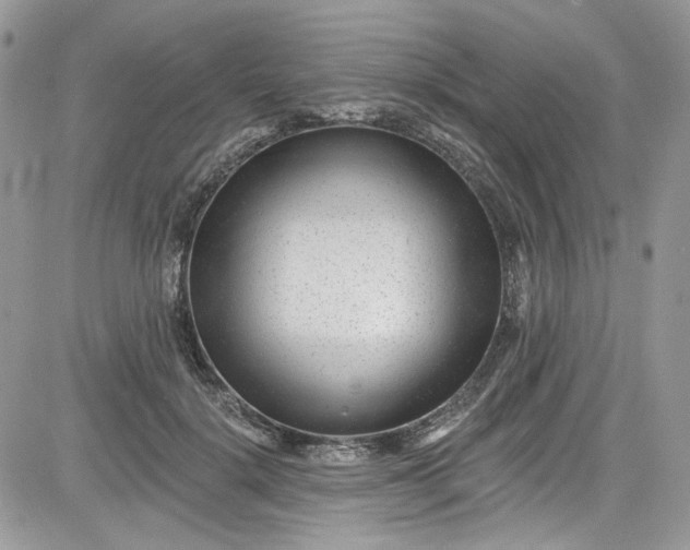 X0000081580652200701291241
