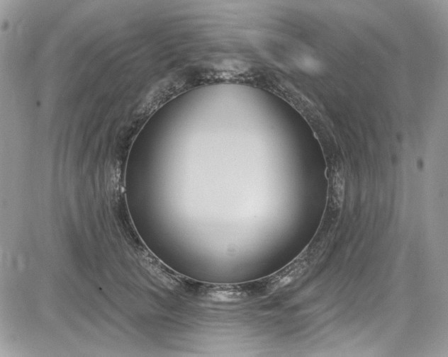 X0000081580657200701291241