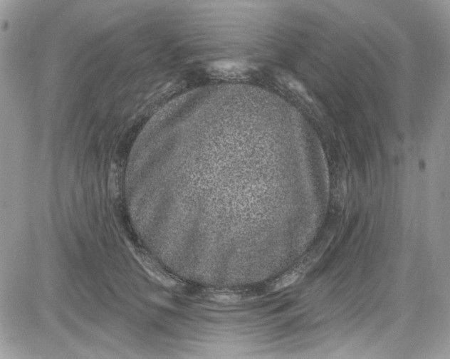 X0000081580658200701291241
