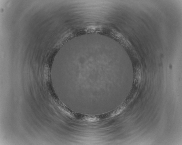 X0000081580659200701291241