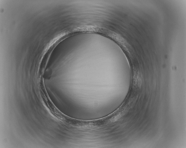 X0000081580674200701291241