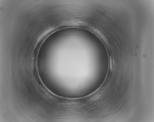 X0000081580675200701291241