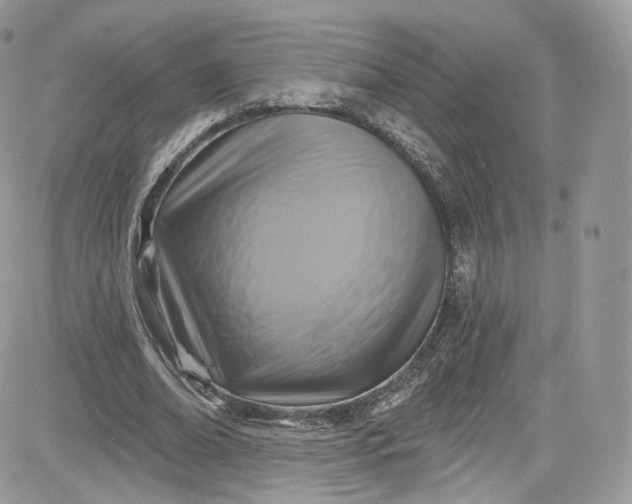X0000081580678200701291241