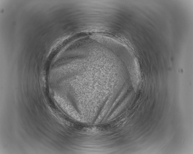 X0000081580688200701291240