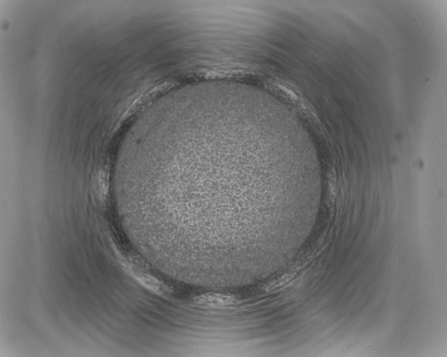 X0000081580691200701291240