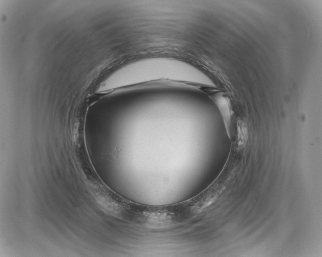 X0000081580693200701291240