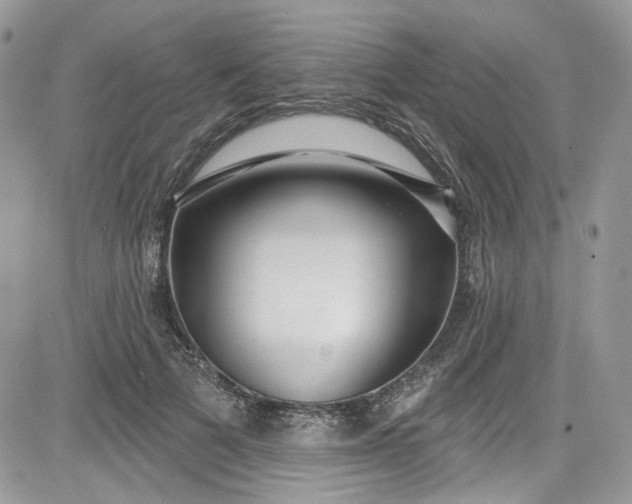 X0000081580697200701291240