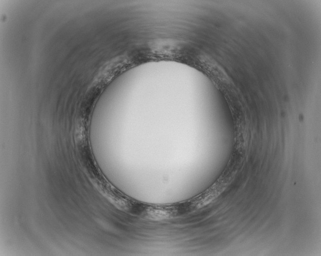 X0000081580706200701291240
