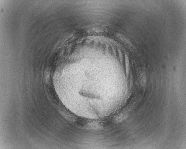X0000081580709200701291240
