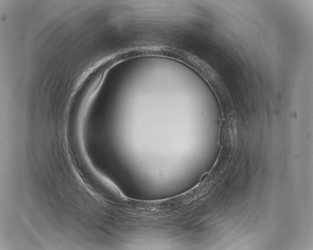 X0000081580728200701291239
