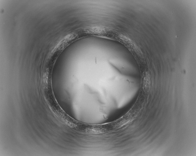X0000081580739200701291239