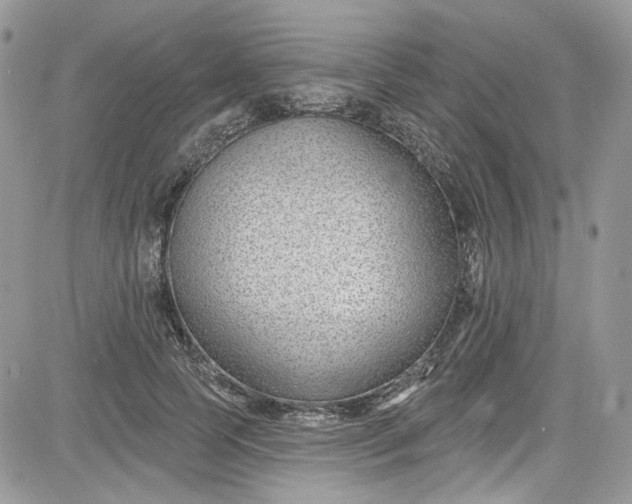 X0000081580745200701291239