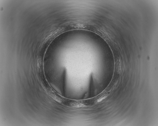 X0000081580747200701291240