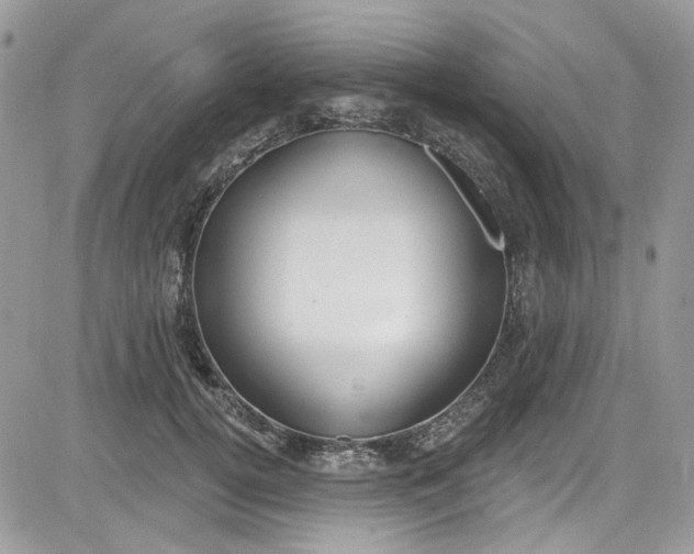 X0000081580752200701291240